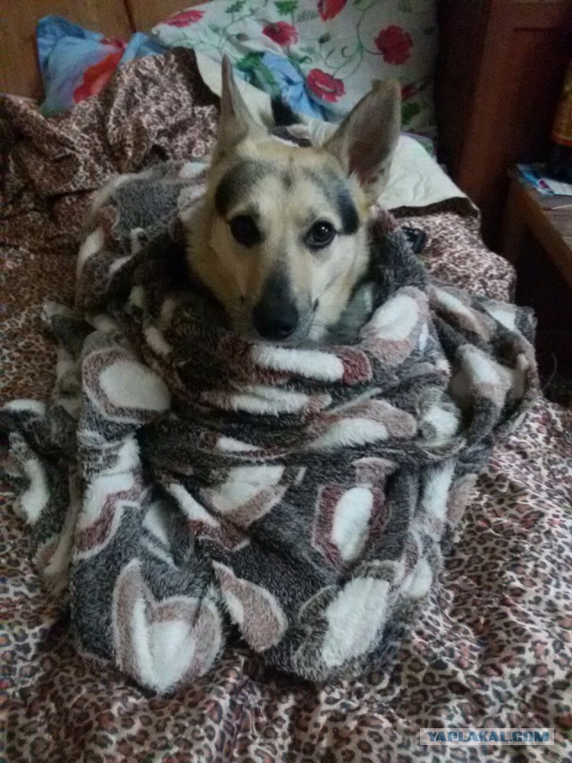Четверг же! Хвастаемся!