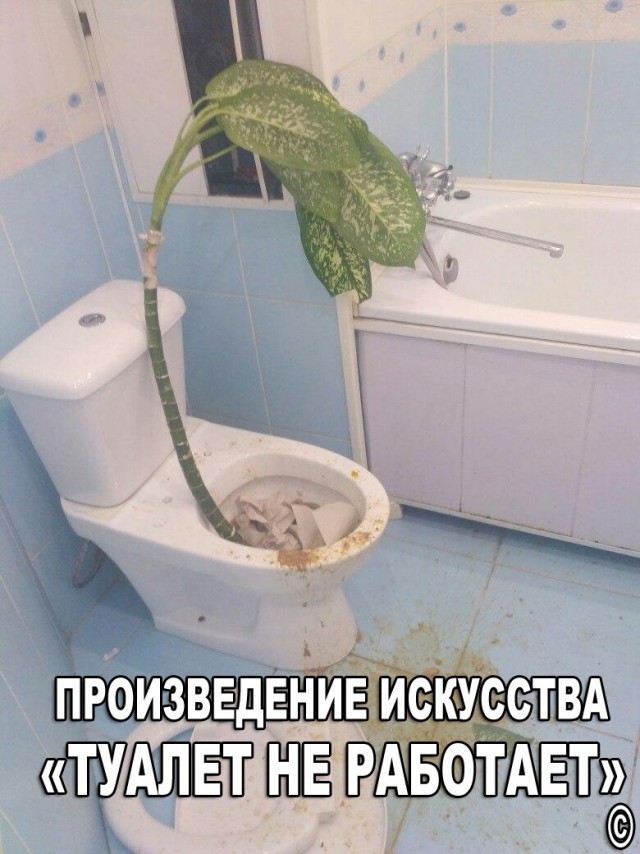 Школьные вписки их последствия