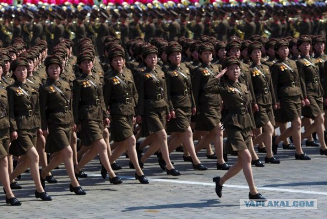 Откуда взялись северокорейские чирлидерши — cамые необычные болельщицы на Олимпиаде