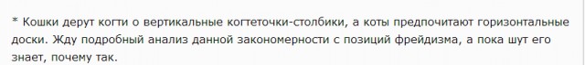 20+ (спорных) фактов о психологии и характере кошек, которыми поделился заводчик со стажем