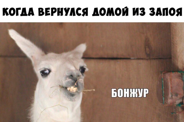 Прикольные картинки абавсём