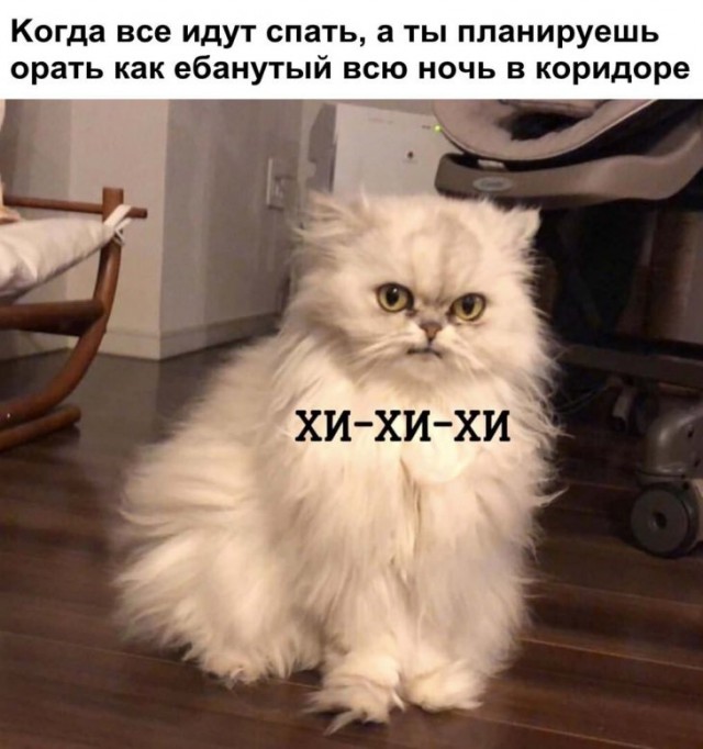 Немного картинок для настроения