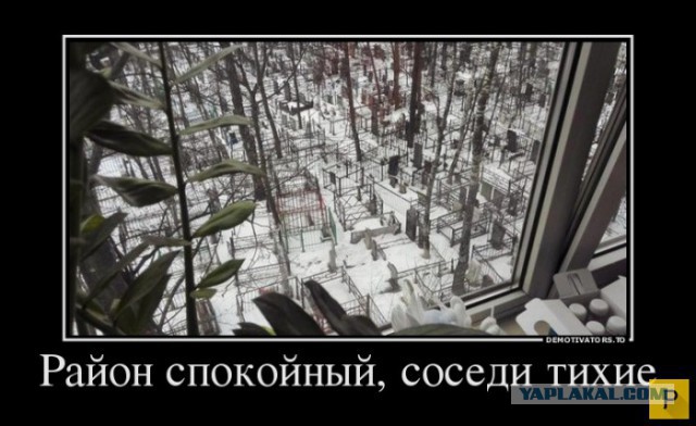 Я достойна большего!  Считают женщины