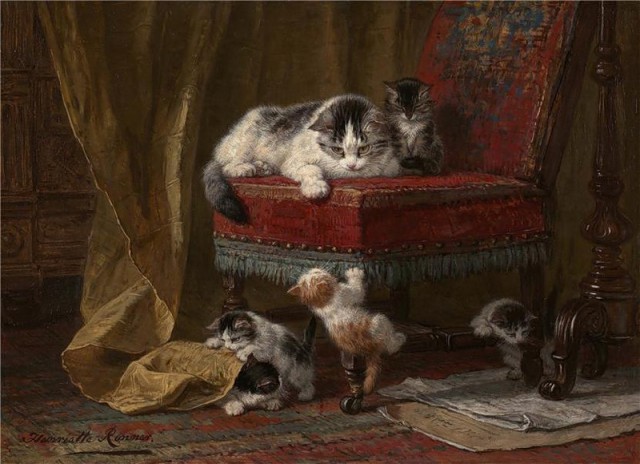 Кот коту рознь