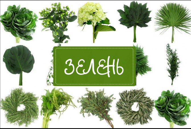 Подборка интересных и веселых картинок 02.06.19