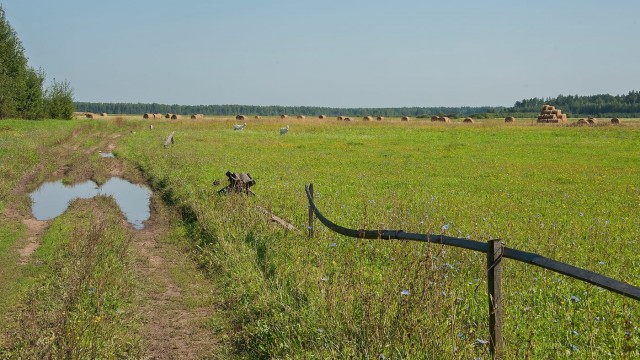 Август в деревне