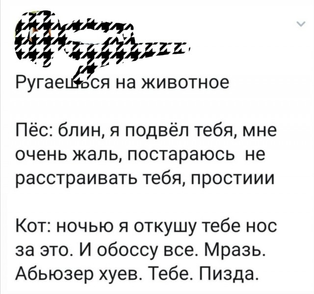 Так себе картинки 04.08.20