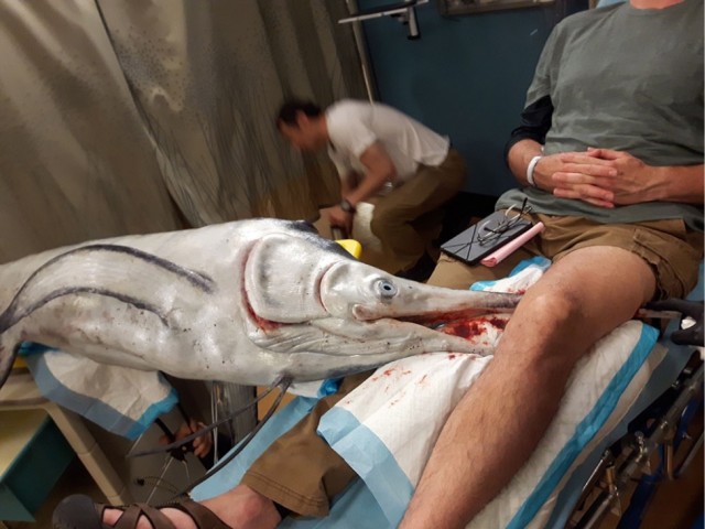 Приезжай на рыбалку, говорили они - будет весело