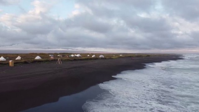 Побережье Камчатки превратилось в кладбище морских обитателей