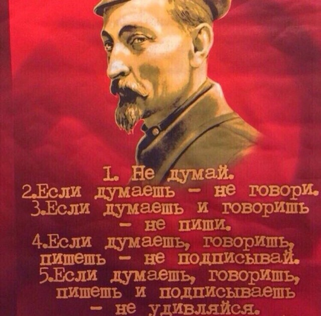 Шнур про Роскомнадзор, ЯП и Пикабу