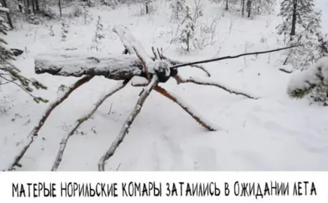 Бредзона 16.12.2020