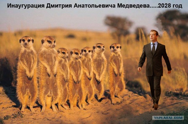Фотожаба: Ракурс