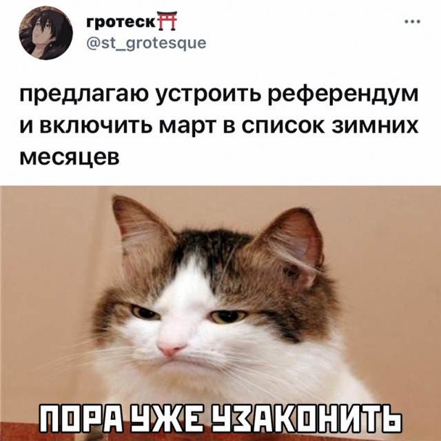 Весёлый полтишок 14.03
