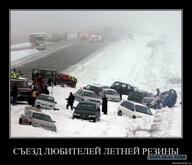 Жертвы первого снега во Владивостоке