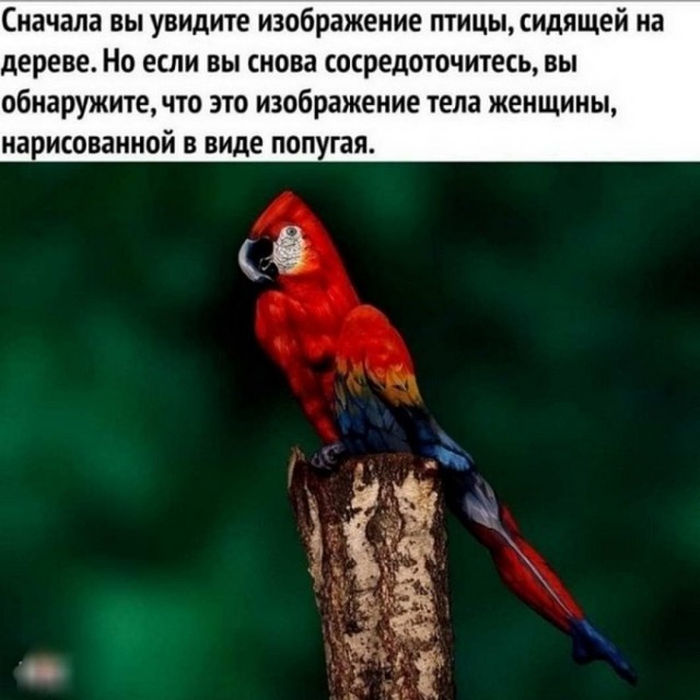 Картинки и мемы для настроения