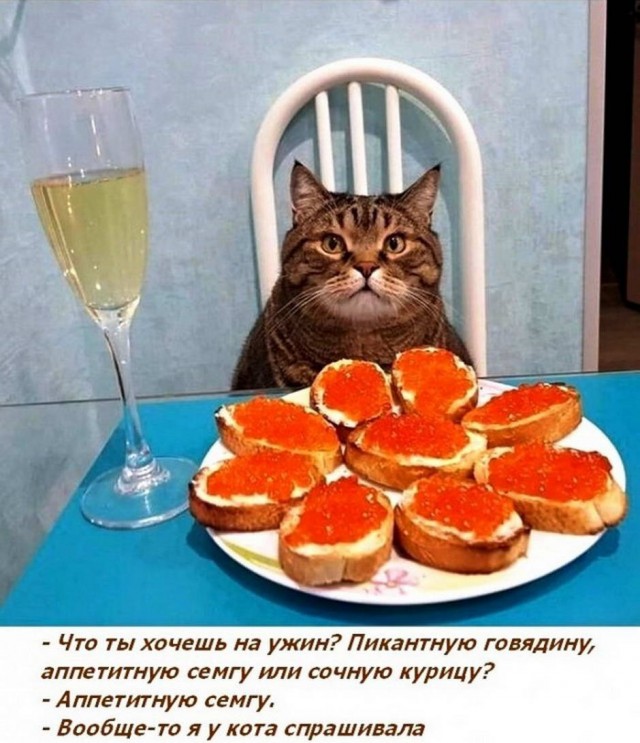 Картинки и мемы для настроения 2021.09.07
