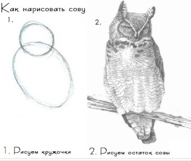 Первый мой рисунок в паинте!