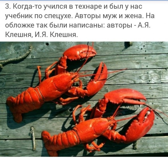 Байки и короткие истории про нас и не про нас