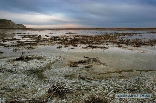 Мертвое Аральское море