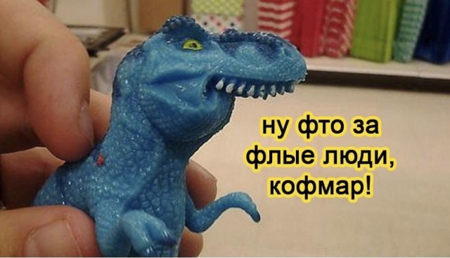 Это зрада или перемога?