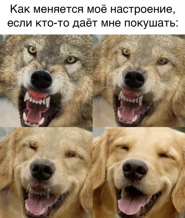 Так себе картинки 29.03.22