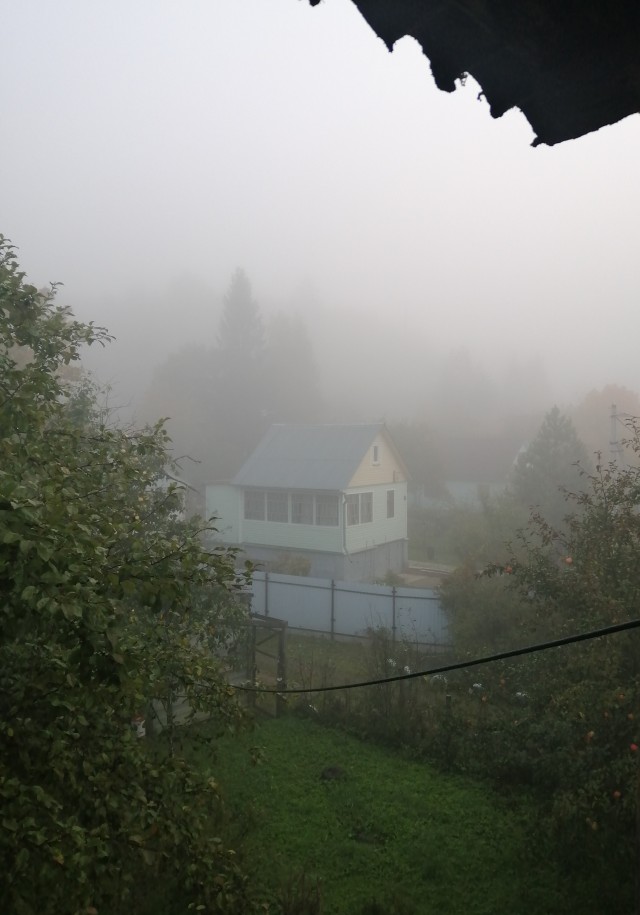 Фотки с телефона.