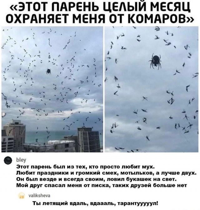 Так себе картинки 13.04.22