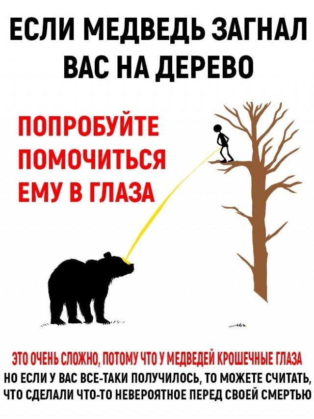 Совет дня. Если потерялись в лесу