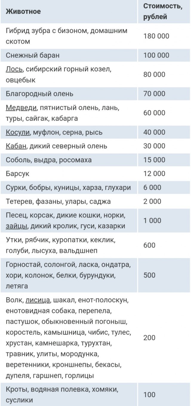 В Липецкой области водитель Рено резко остановился, чтобы пропустить утят и спровоцировал ДТП с грузовиком