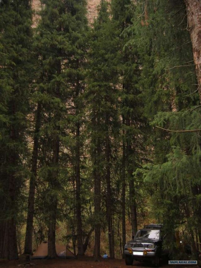 Рыбалка в горах. Плато Ассы.