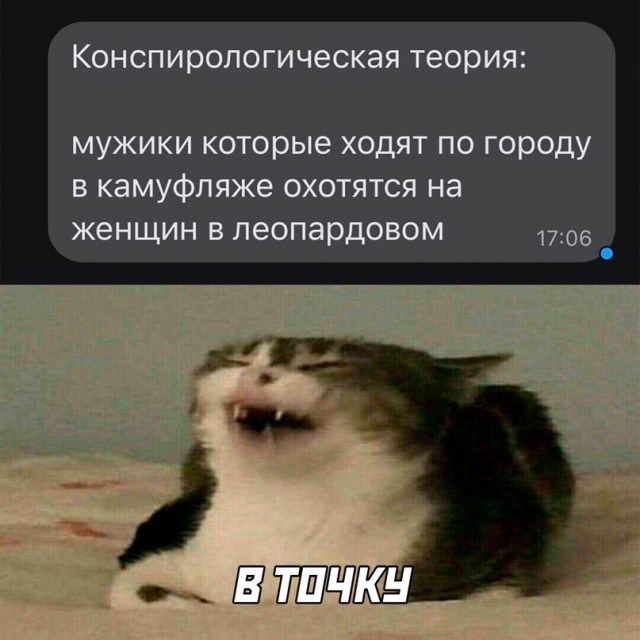 Весёлый полтишок 18.08.22