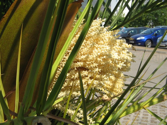 Отдых в Черногории (сентябрь 2012)