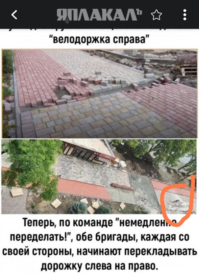 Так себе картинки 10.10.22