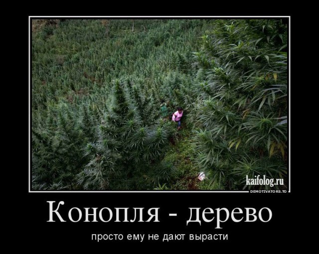 Прикольные и просто красивые картинки 25.10.2022