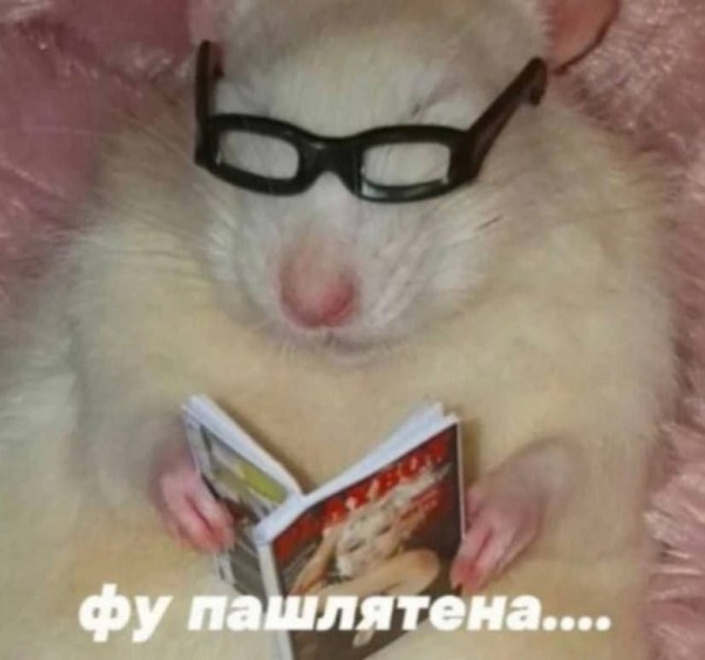 Вопрос знатокам