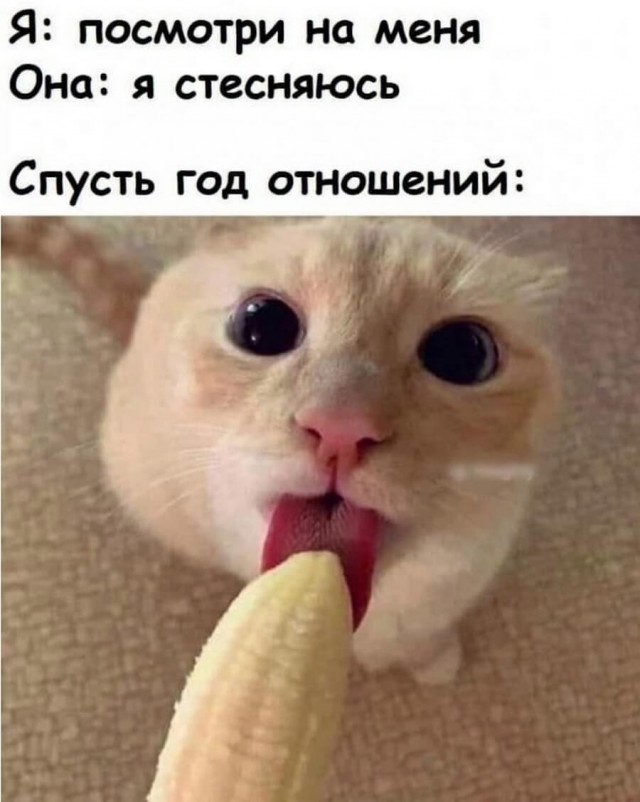Это значит, что сегодня пятница