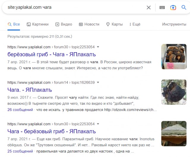 Чага березовая