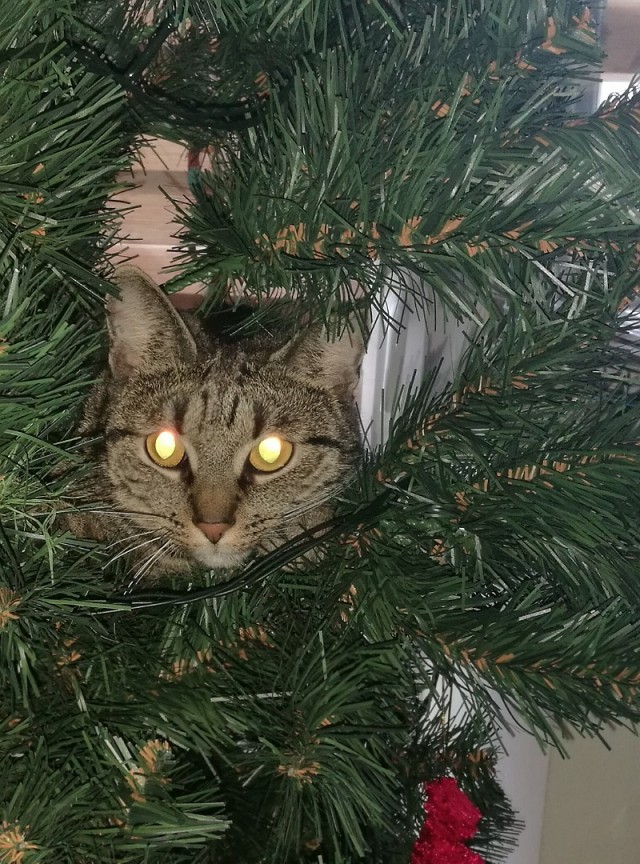 Новогодняя игрушка