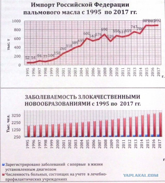 Наш отдых. Как отдыхали советские люди
