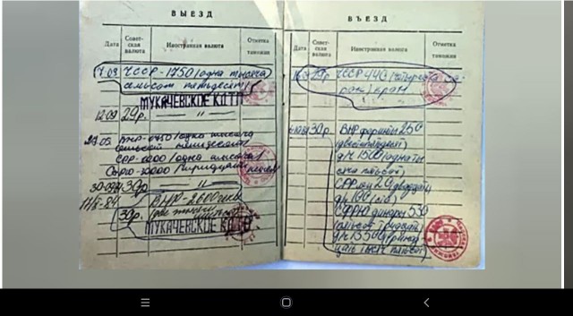 Кто такие «софики», почему их муштровали по-офицерски и какое отношение к ним имел КГБ