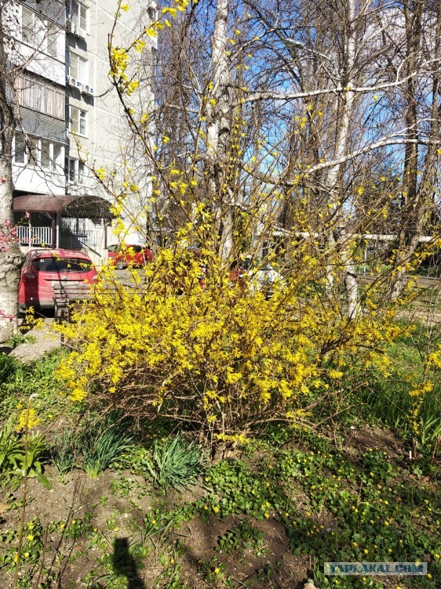 И у нас весна!