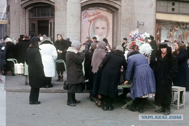 Москва 1953