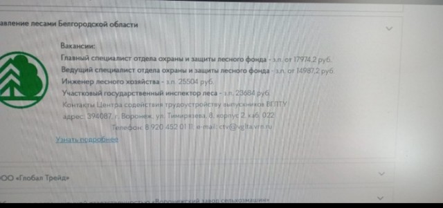 Откуда в России взялся фееричный рост зарплат: сложили зарплаты мобилизованных и контрактников?