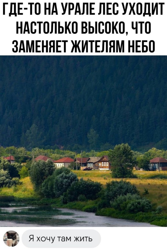 Забавные комментарии из социальных сетей (31.07.23)
