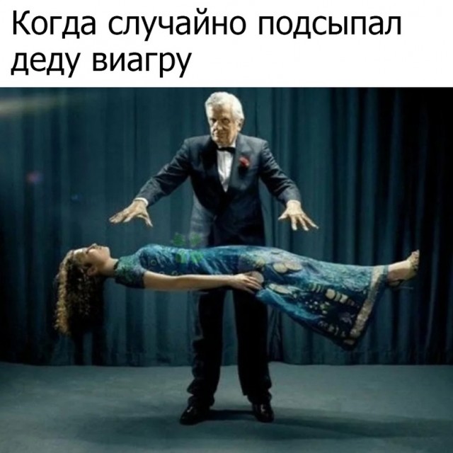 Весёлый полтишок 29.08.23