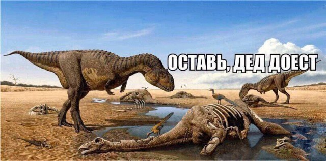 11 порция соуса нежность