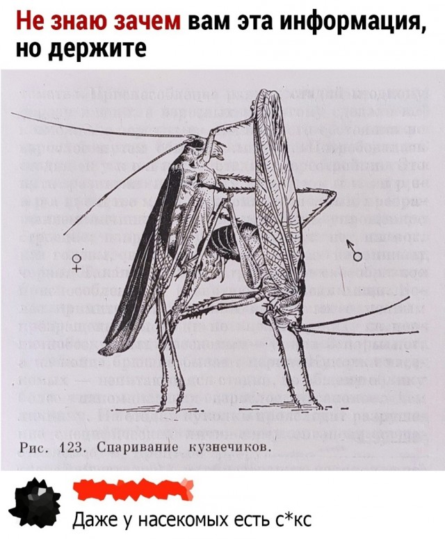 Так себе картинки 10.10.2023