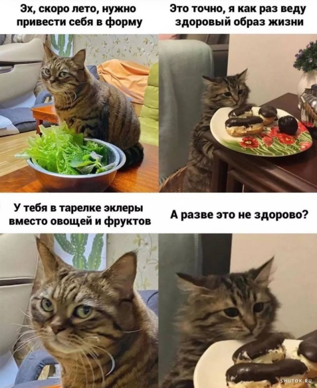 Тлидцать тли от 19 февлаля