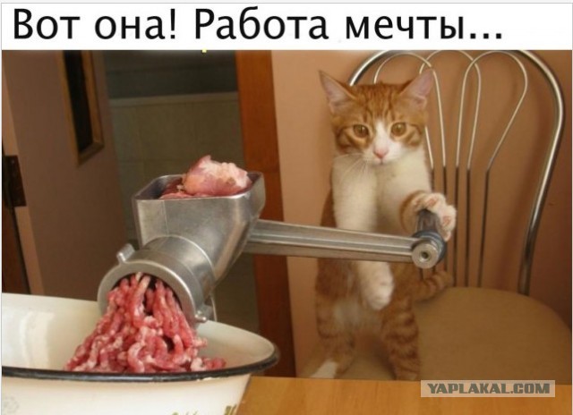 Так себе картинки 11.05.24