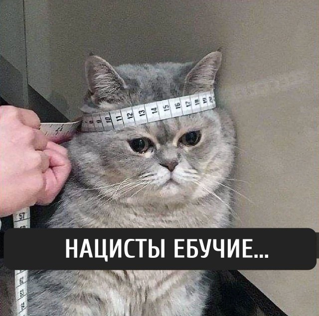 Никакие картинки